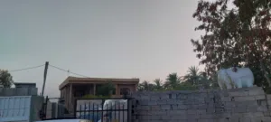 دونم مع بيت طابو صرف في ابو غريب منطقة حميدشعبان نهاية الشارع الوسطاني