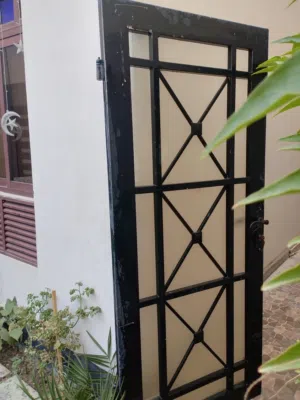 Iron front door  باب حديد