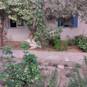 منزل أ.ب. أرضي شعبية شهداء عبد الجليل  المشروع 1