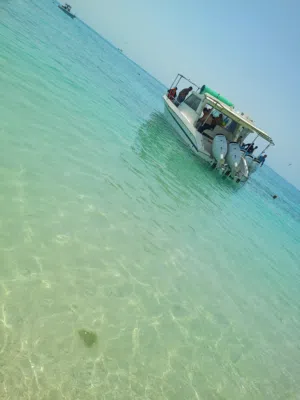 رحلات بحريه