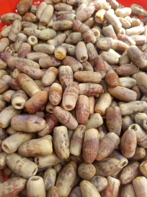 للبيع سح نغال جريجرو