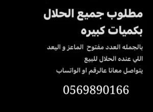 مطلوب حلال
