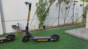 electric scooter
