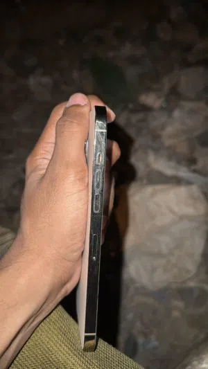 Apple iPhone 12 Pro Max 128 GB in Hadhramaut