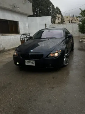 للبيع-الحبة-المميزة-والنادرة