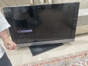 شاشا ونسا ...