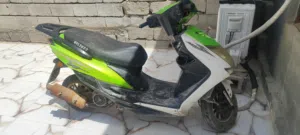 فحل سكنس لبيع او مراوس  مكاني ابل خصيب كوت ثويني شوف لوصف