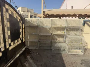 اقفاص حجم كبير شبه جديده