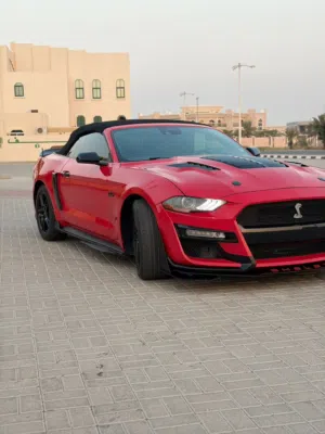 موستنج 2021 وارد امريكا