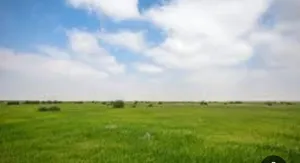 Farm . 750 m2 . Agent1