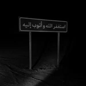 محمد عماد محفوظ 
