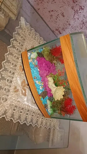 حوض سمك متوسط الحجم