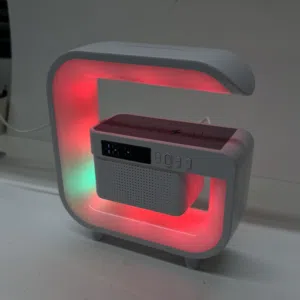 مكبر الصوت G3mini اللاسلكي مع للشحن