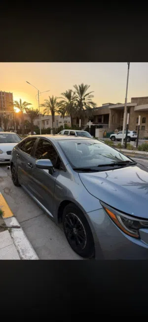 كورلا هايبرد