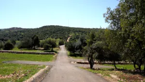 Farm Land for Sale in Ajloun A'fna