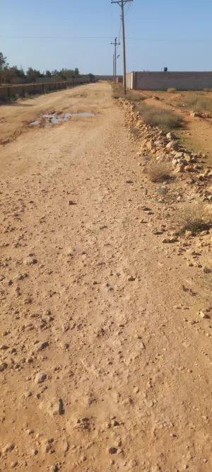 ارض1000م2 على شارعين