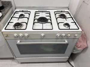 Gas Cooker Ocean Brand