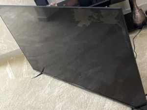 Philips 65 inch