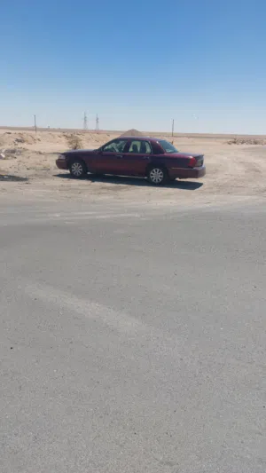 طارث مقلد 