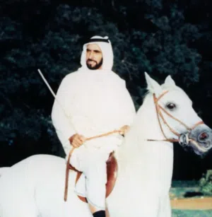 AHMED ALMUBARK 