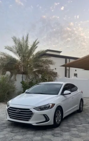 Used Hyundai Elantra in Muscat