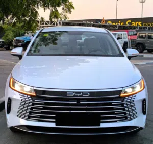 Byd destroyed