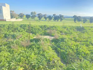 Residential Land for Sale in Beja Other
