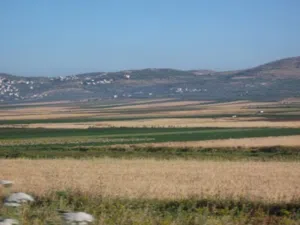 Farm Land for Sale in Jenin Manshiya
