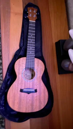 جهاز موسيقي (جيتار)