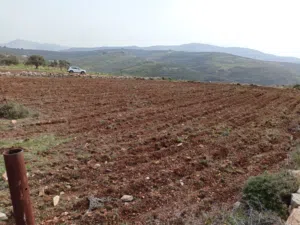 قطعه ارض للبيع في عصيره الشماليه