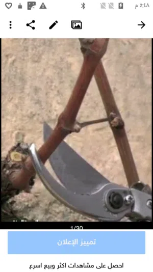 تقليم العنب  الدوالي