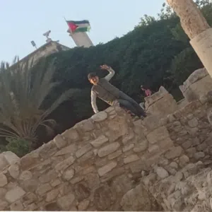 محمد ايمن التميمي 