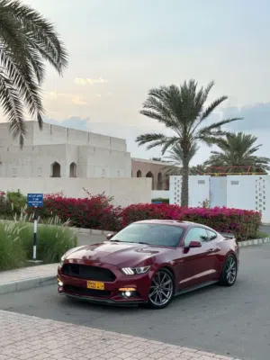 رنجات موستنج 15/17 خليجي
