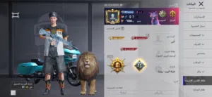 Pubg Accounts and Characters for Sale in Amman