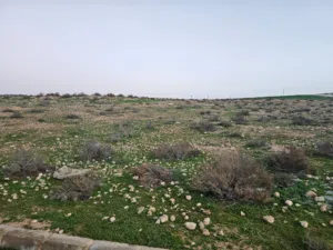 Residential Land for Sale in Amman Al Qastal