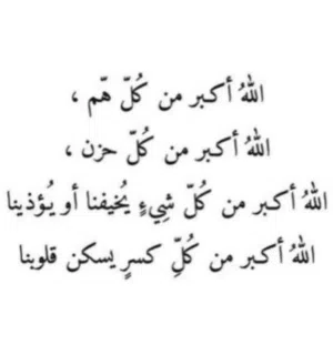 زيد المطيري 