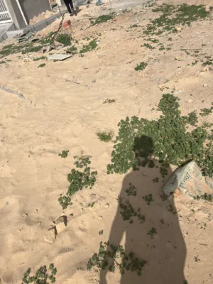 ارض في السراج 192 متر خلف جامع البر
