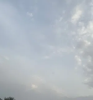 الخالدي 