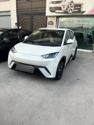 Byd seagull 2024 بي واي دي سيجول