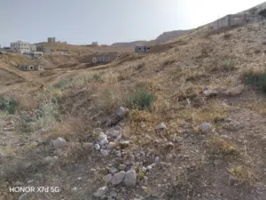 قطعه ارض للبيع في شومر مقابل صاله لافندر مساحه 349 مشترك