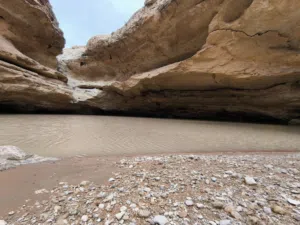 الياس توفيق زايد الدواخ 