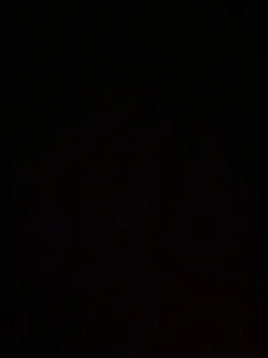 شيماء مراد عطيه محتسب 