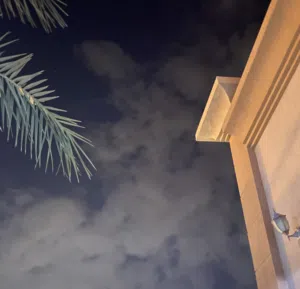 سيف 