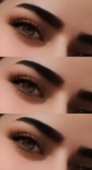 سدن التميمي 