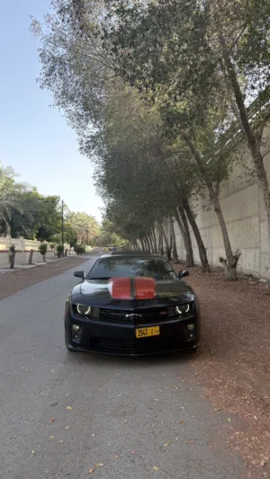 Used Chevrolet Camaro in Muscat