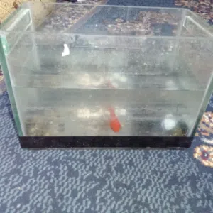 حوض سمك يا صلاه عالنبي