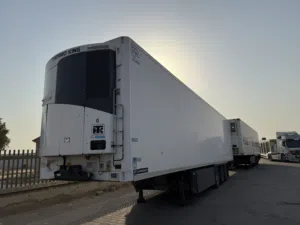 ذنبات براد وارد المانيا