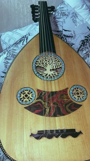 Guitars & Oud . Used1