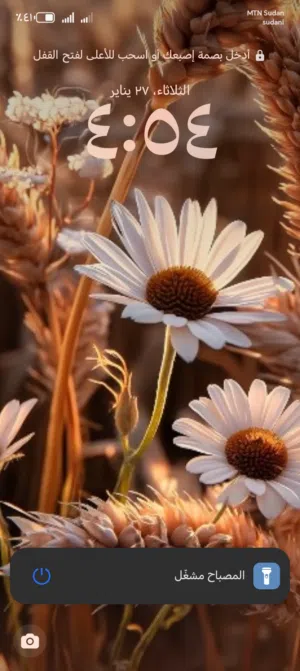 مطلوب S21 او S22