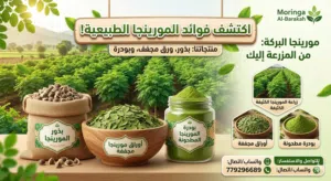 المورنجا بذور - اوراق مجففه - بودره